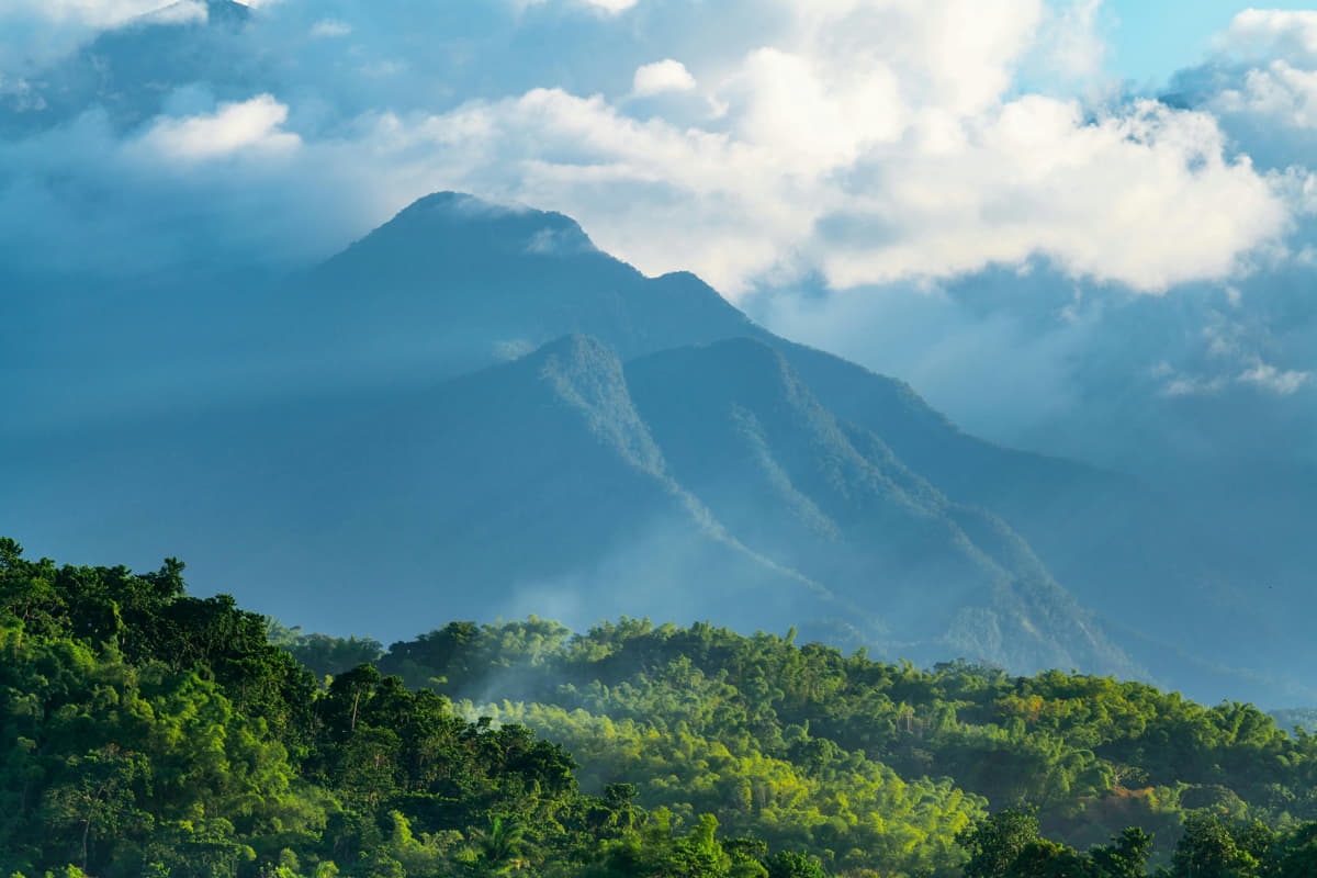 A stunning view of the Blue Mountains in Jamaica, showcasing lush greenery and clear skies.