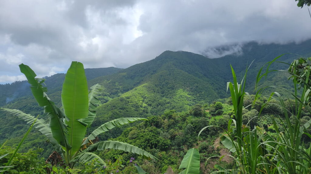 Blue Mountains in Jamaica, a serene view showcasing the lush green landscape, often associated with cool temperatures.